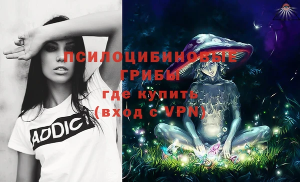 гидропоника Бронницы