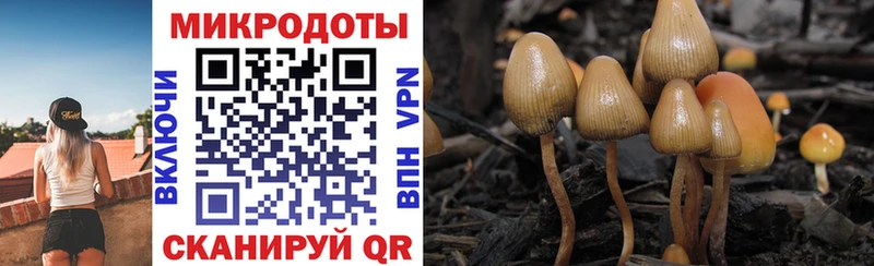 Псилоцибиновые грибы Magic Shrooms  Копейск 